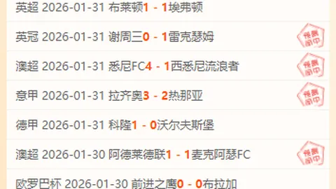 凯尔特人团队协作默契，宛如篮球传球高手，轻松得分赢得魔术师赞誉